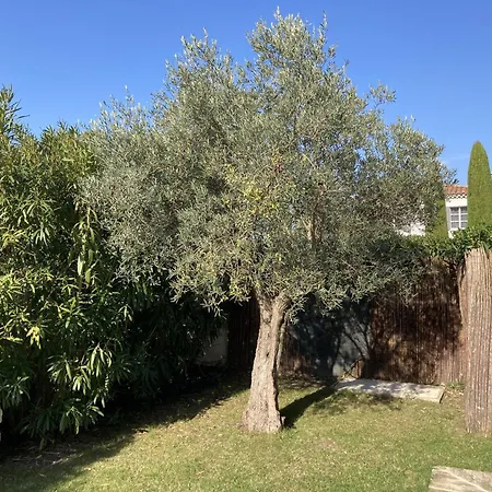 Climatisee Avec Piscine A St Remy Villa